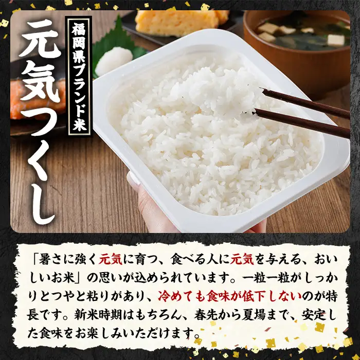 【パックご飯】福岡県産米 元気つくし(計24パック) お米 米 コメ おこめ こめ 元気つくし 小分け 白米 ごはん ご飯 福岡県産 ブランド米 常温 常温保存 金のめし丸 非常用 保存食 備蓄 防災 【農産物直売所ほたるの里】as52-036