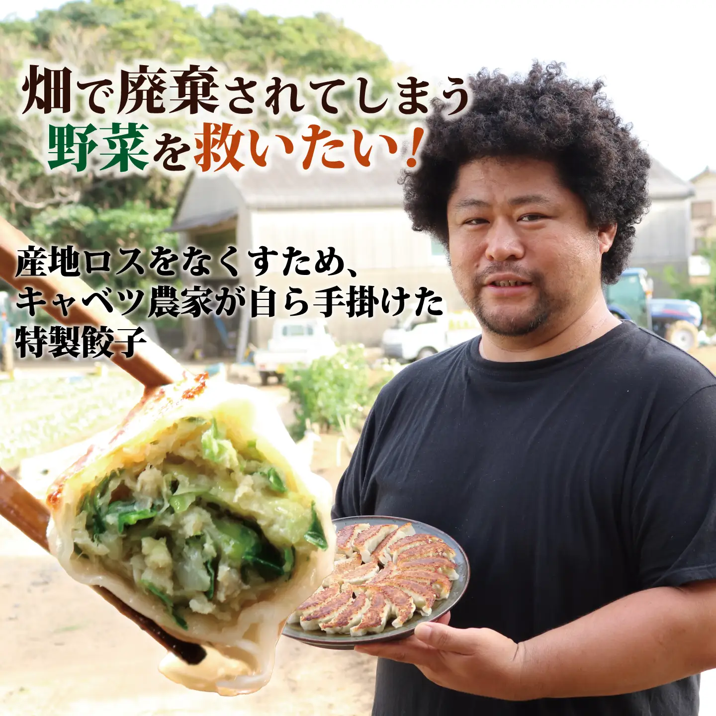 餃子 きゃべつ餃子 60個