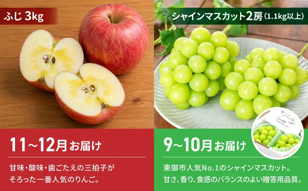人気のぶどう・りんご2回定期便（シャインマスカット・ふじ）｜JA信州うえだ農業協同組合 長野県 東御市産
