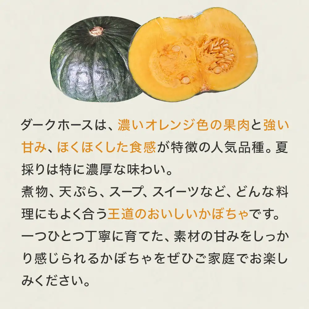 石巻伝承野菜 かぼちゃ ダークホース 5キロ 3～4玉 カボチャ 南瓜 野菜 石巻産 国産 甘い 濃厚 おかず スープ 宮城県 宮城 石巻市 石巻