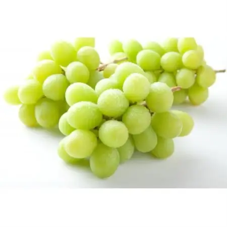 【先行受付】信州高山村産　シャインマスカット1kg(2～3房入り)秀品(訳あり品ではございません)【配送不可地域：離島・北海道・沖縄県】【1740774】