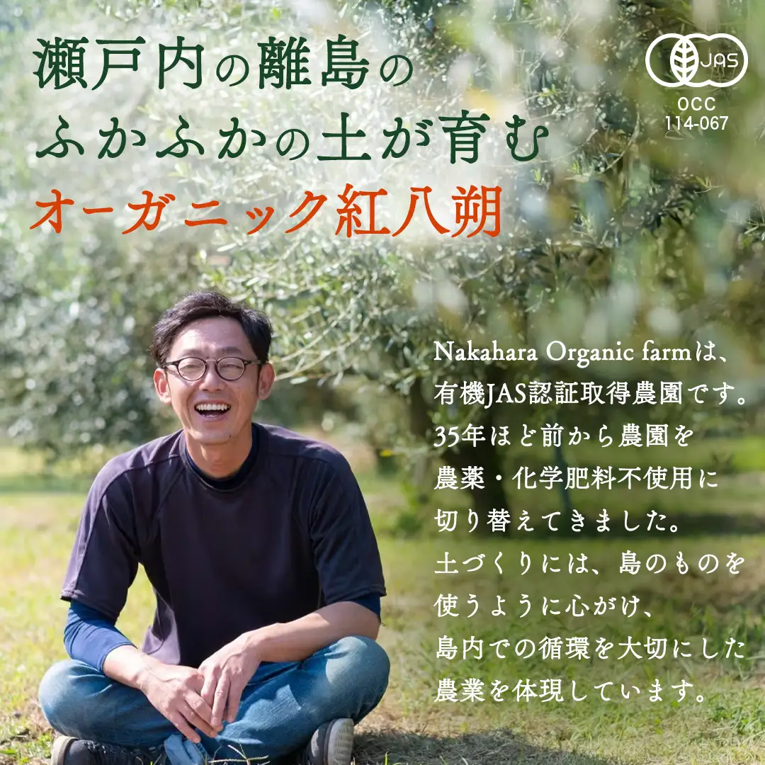【 先行予約 】 瀬戸内 オーガニック 紅八朔 5kg+お試しオーガニックレモン1個 【2027年1月中旬以降発送】