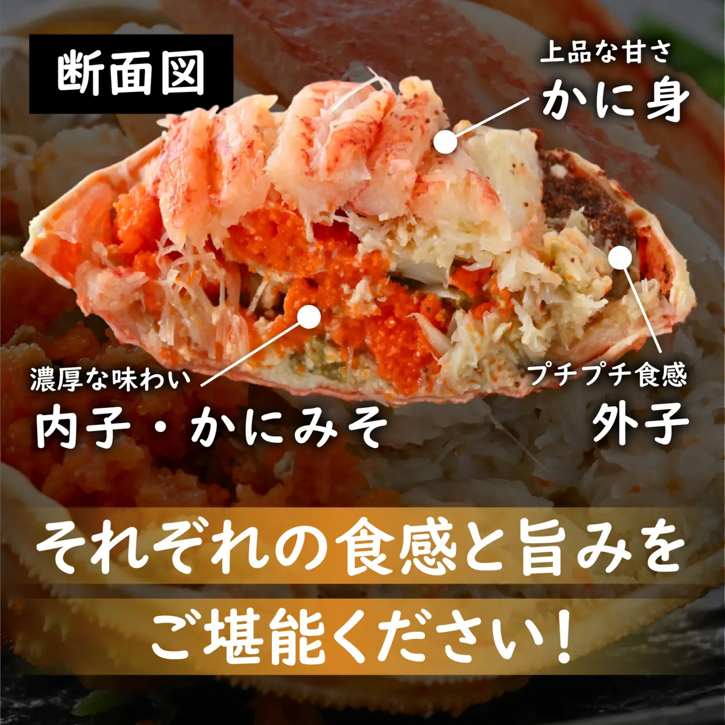 【訳あり】釜茹で 蟹好き集まれ！オオズワイガニ（メス）甲羅盛 6個セット [A-096037] / ズワイガニ
