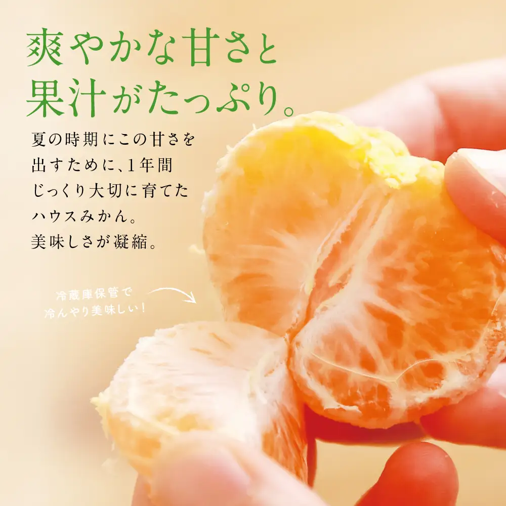 鹿児島県産 ハウスみかん 約2.4kg【 先行受付 ★7月～8月発送★】 化粧箱入り 先行予約 柑橘 みかん ミカン 蜜柑 ハウスミカン 温室 温州ミカン 温州みかん 旬 数量・期間 限定 国産 果実 果物 くだもの フルーツ 果肉 果汁 食品 デザート スイーツ おやつ 甘い 旬 季節限定 季節の果物 おすすめ ご褒美 贅沢 グルメ お取り寄せ JAさつま日置 鹿児島 鹿児島県 南さつま市