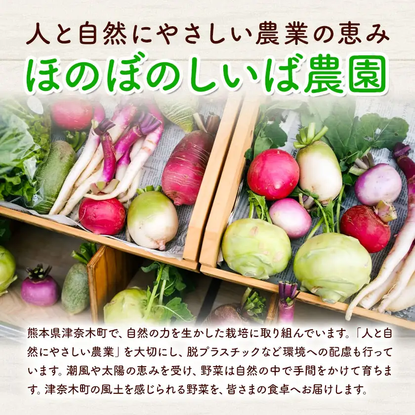 野菜 季節の野菜 10品 詰め合わせ セット ほのぼのしいば農園《5月上旬-7月下旬頃出荷》