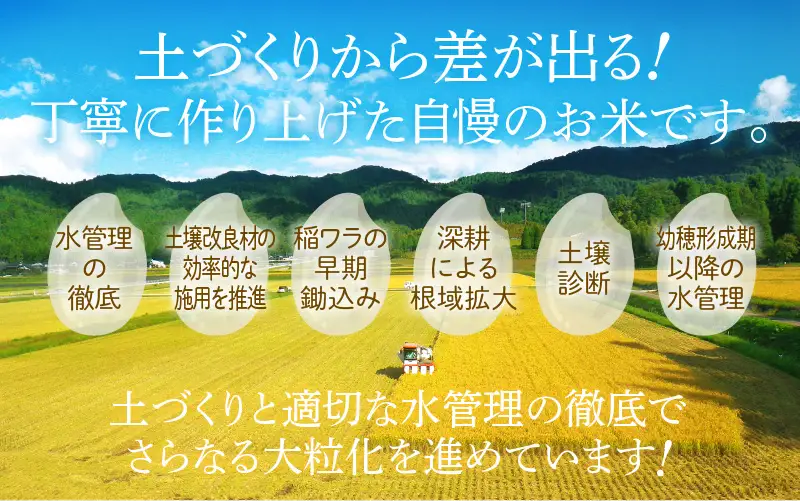 コシヒカリ 5kg 令和7年産 美浜町産 8月下旬発送 [m60-a019_08]