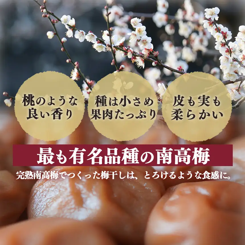 【堀内果実園】【訳あり】特別栽培・大切に育てた完熟南高梅（2kg） | 果実 旬 奈良県 五條市