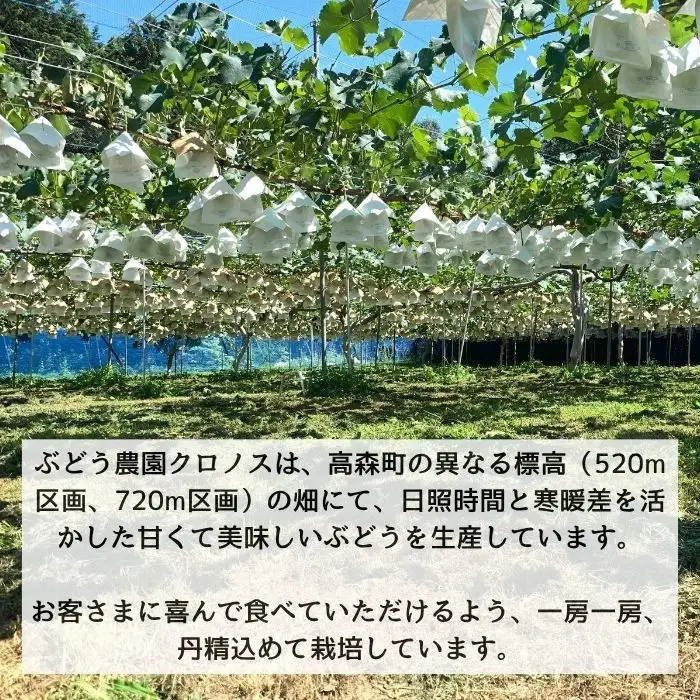 ナガノパープル2kg