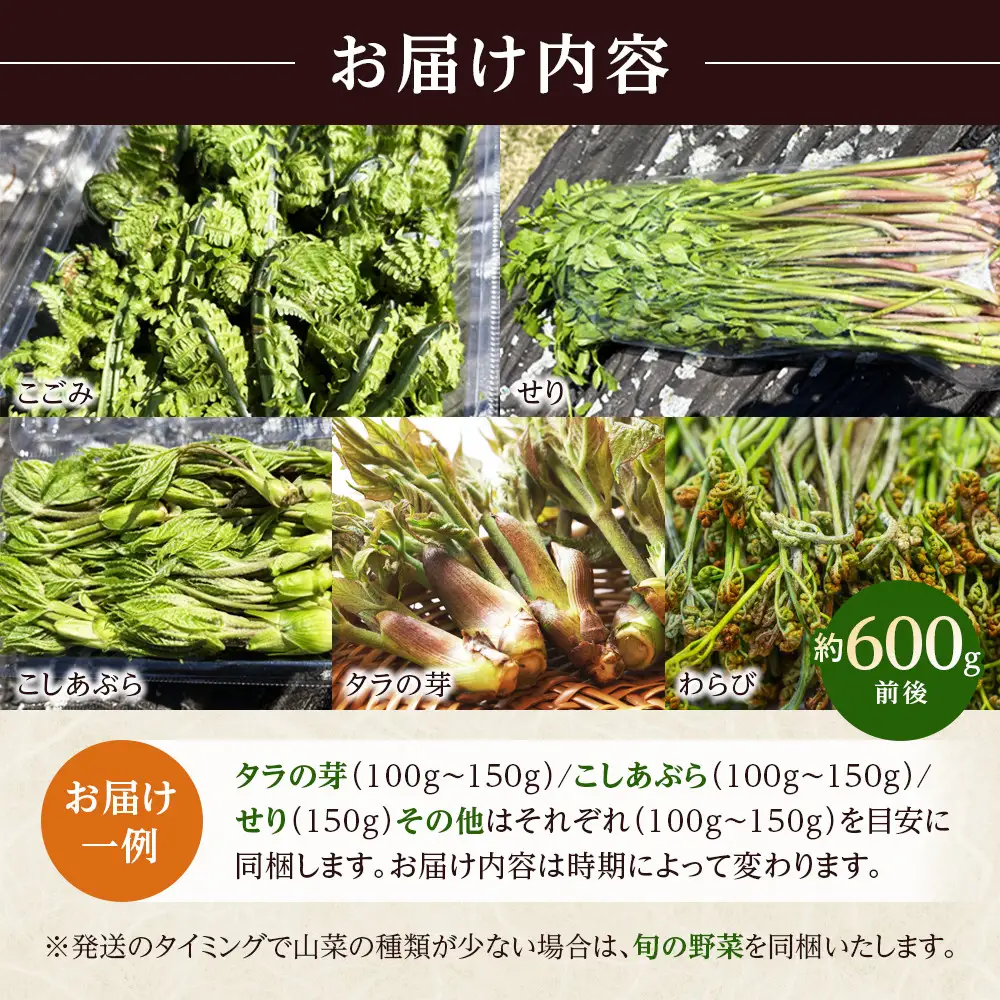 先行予約【2027年4月中旬頃～順次発送予定】ちっくほっくふぁ～む　山の恵み　山菜セット