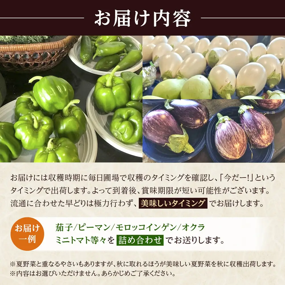 先行予約【2026年9月上旬頃～順次発送予定】ちっくほっくふぁ～む　夏・秋野菜セット
