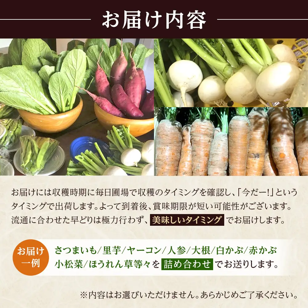 先行予約【2026年11月上旬頃～順次発送予定】ちっくほっくふぁ～む　冬野菜セット