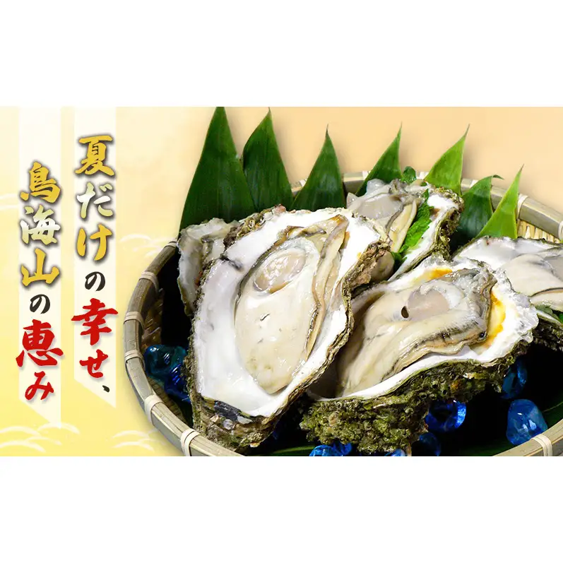 【先行予約】天然岩牡蠣 13~15個 生食可 象潟産 ナイフ付 牡蠣