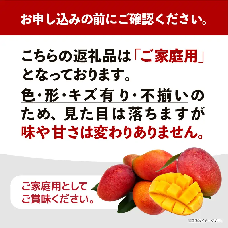 【先行受付】【2026年発送】なか果樹園 アップルマンゴー 家庭用 約1kg （白箱）- 産地直送 先行予約 沖縄県産 ご自宅用 南国フルーツ 旬の味覚 オススメ 沖縄県 八重瀬町