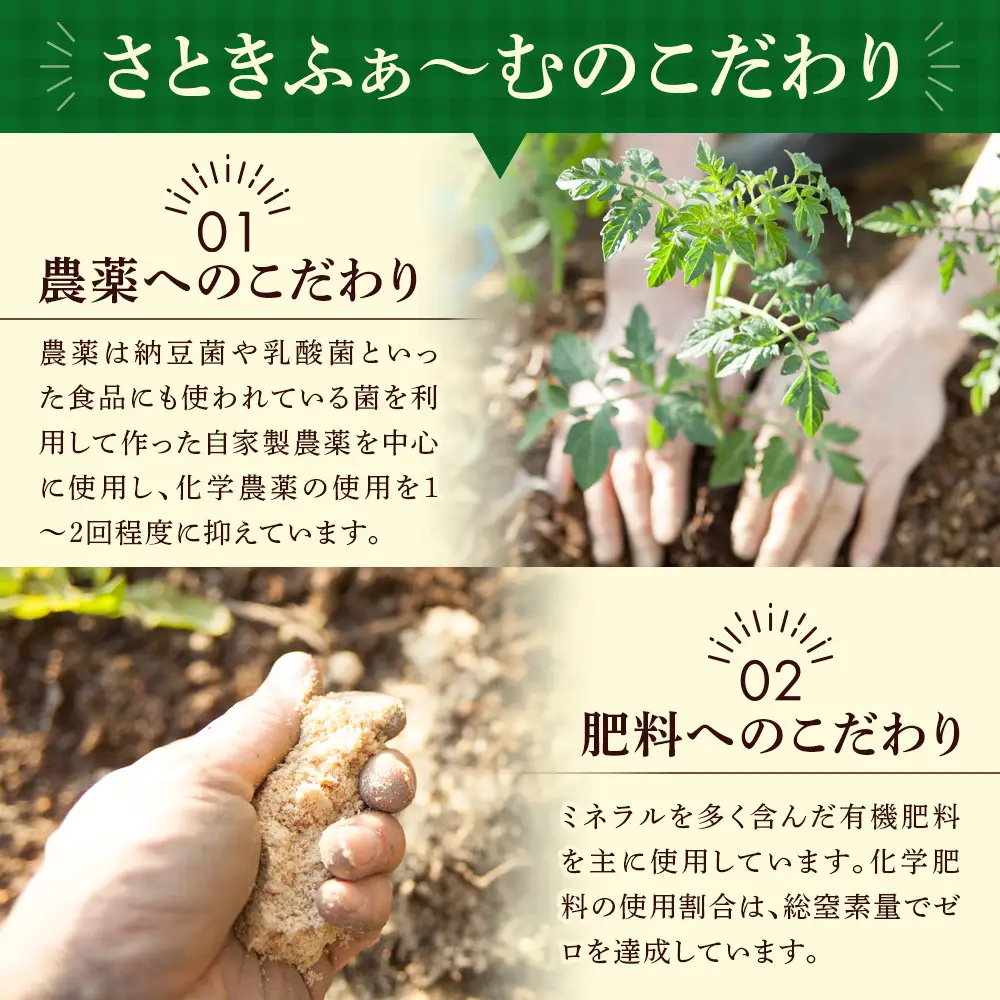 【先行予約】旭川のおまかせ野菜セット(6種以上)(2026年7月下旬発送開始) 野菜セット _05908