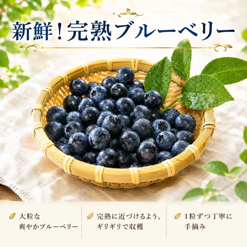 【7月発送】完熟 ブルーベリー 中玉 750g (150ｇ×5) 北田りんご園 kitada002 ブルーベリー