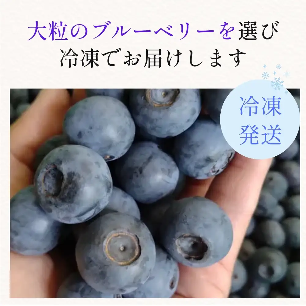 【予約数量限定】ブルーベリー 有機JAS認証 500g 冷凍 無農薬