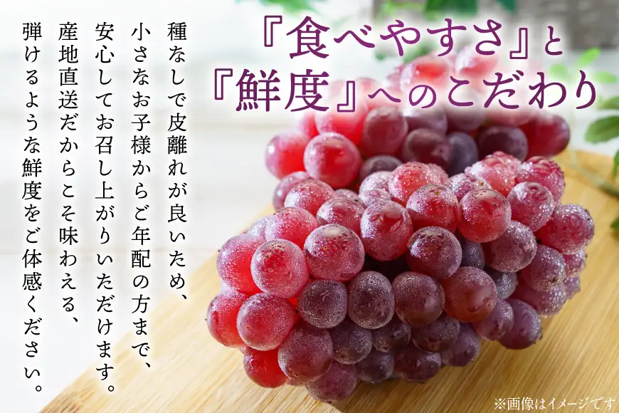 【期間限定発送】 ぶどう 朝採り デラウェア 特選 2kg