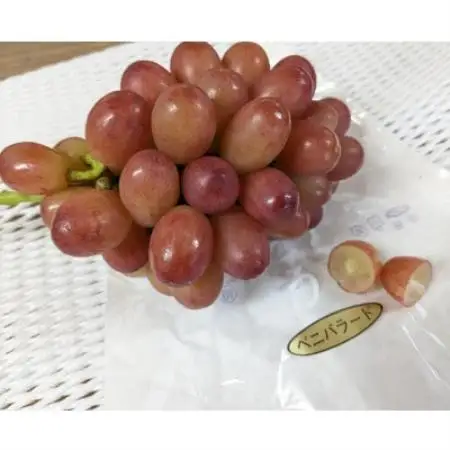 【毎週定期便】【種なし】巨峰2房+旬のぶどうの食べ比べ約2kgセット全4回【配送不可地域：離島】【4086731】