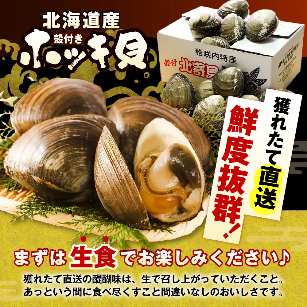 【数量限定】獲れたて直送 ホッキ貝 約2kg