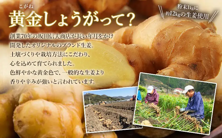 黄金しょうが粉末 1kg 生姜 ジンジャー のし対応不可 数量限定 ジンジャーパウダー 生姜粉末 からだぽかぽか 冷え症対策 国産 特産品 しょうが ショウガ 高知県産 野菜 坂田信夫商店 高知県 香南市 常温 Xnb-0010