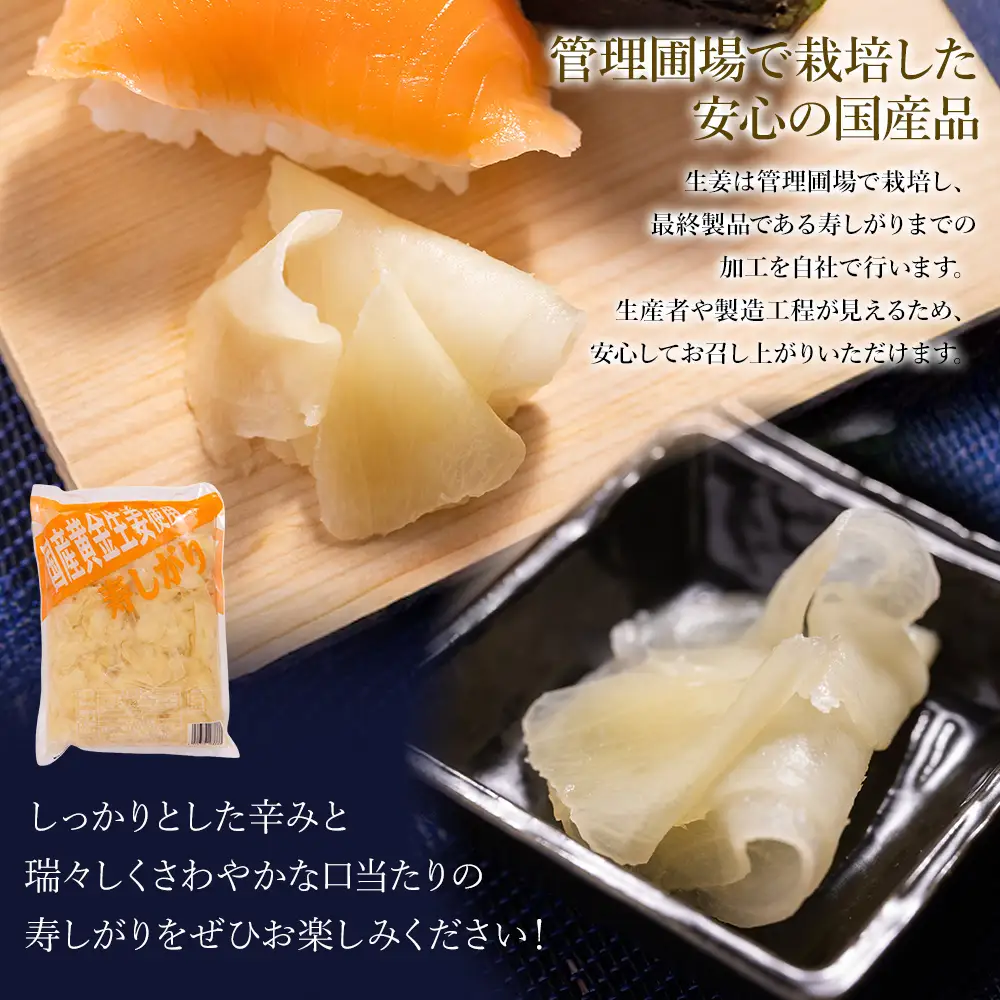 寿司ガリ 1kg がり Xnb-0011