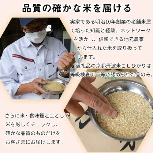 【12回定期便】コシヒカリ・きぬひかり 10kg 定期便 精米 白米