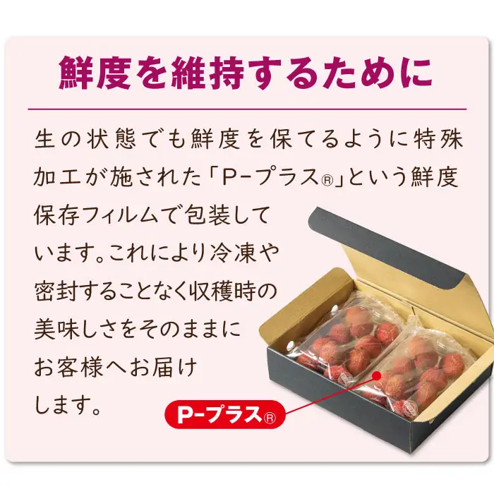 A1-22565／【 期間限定 】生ライチ500g 温泉水で育てた希少な国産ライチ！