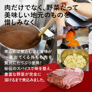 清里　萌木の村　ロック　ビーフカレー×10パック [h061]