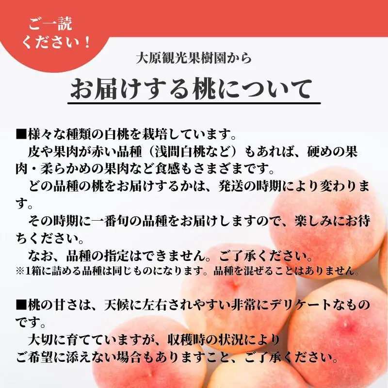 【たっぷり定期便】季節の果物 定期便 全3回 白桃・ピオーネ・シャインマスカット 【先行予約 2026年7月下旬から順次発送】