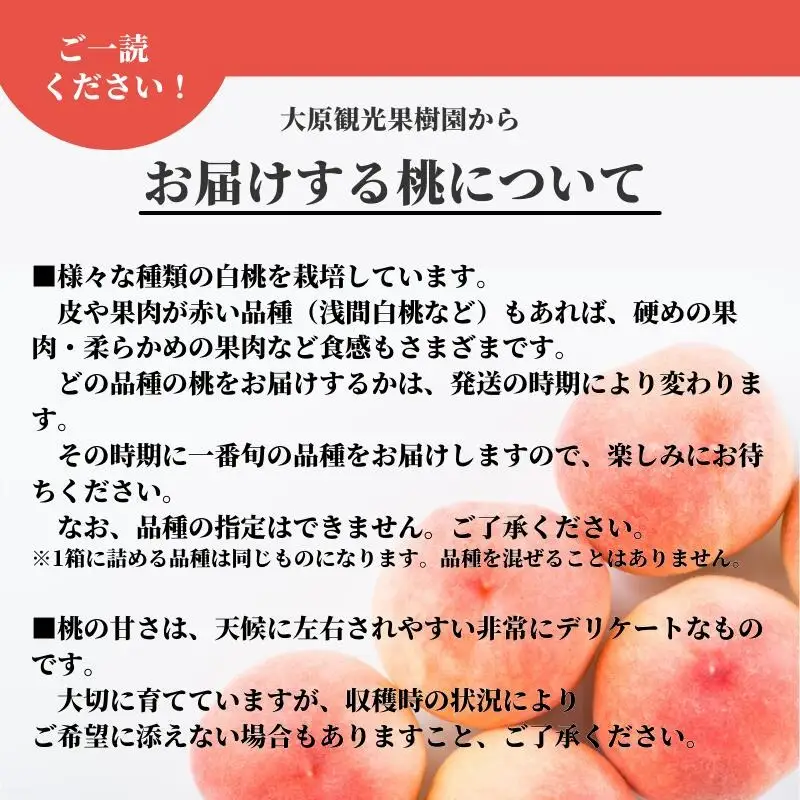 【食べきり定期便】季節の果物 定期便 全3回 白桃・ピオーネ・シャインマスカット 【先行予約 2026年7月下旬から順次発送】