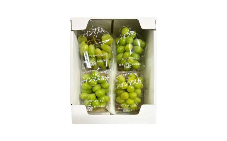  シャインマスカット1.2kg（300ｇ×4パック）　【2026年7月中旬～8月中旬頃順次発送予定】