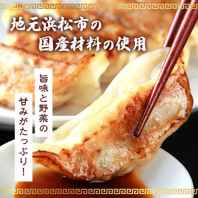 浜松餃子 もち豚餃子 98個 五味八珍 餃子 国産 冷凍 ぎょうざ ギョーザ
