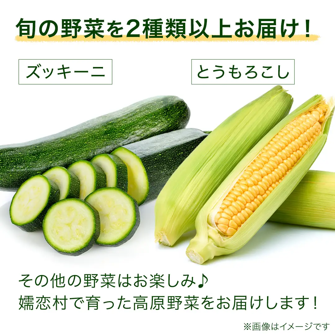 【7月中旬発送開始】旬の採れたて 新鮮 高原野菜 セット 3.5kg 2種以上 [BT001tu]