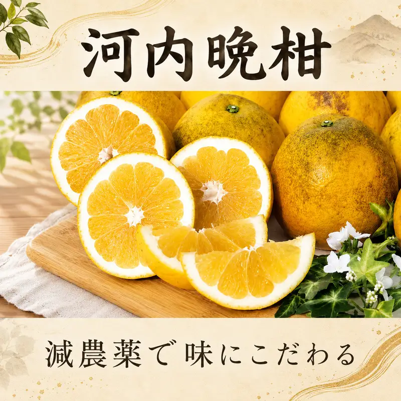 訳あり 河内晩柑 約 5kg サイズミックス 甘夏 ジュース 500ml 720ml 各1本 1.2L 2本 10000円 かわちばんかん ミカン mikan わけあり 愛南ゴールド 家庭用 ゴールド 美生柑 文旦 みかん あまなつ 夏みかん 家庭用 産地直送 国産 減農薬 数量限定 特産 お酒 焼酎 ジュース デザート 等に 果実 果肉 美味しい フルーツ 果物 柑橘 宮下明良 愛南町 愛媛県