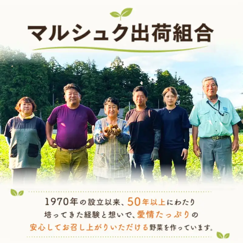 じゃがいも 訳あり 10kg mss012 じゃがいも