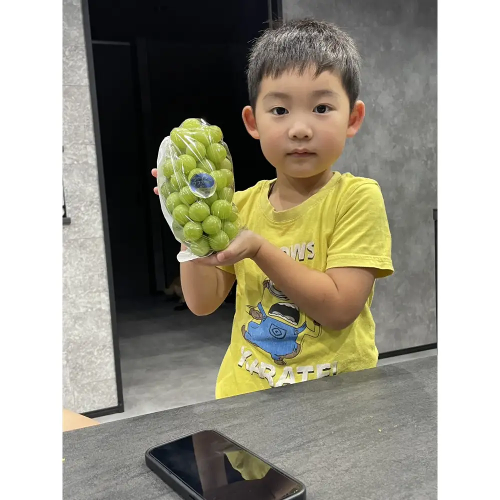 【岡山県産・厳選品２房】シャインマスカット
