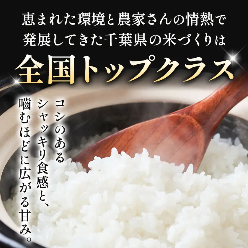 米 精米 千葉めぐみ米 20kg 千葉県産《1-5日以内に出荷予定(土日祝除く)》