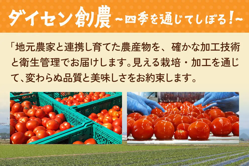 乳酸菌入りトマトリンゴミックス飲料「極　KIWAMI」150g×10個入