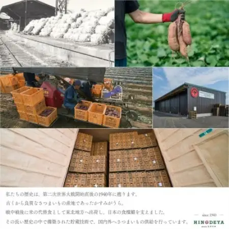 産地直送!生さつまいも「熟成紅はるか」調理しやすい小さめサイズ5kg【1748778】