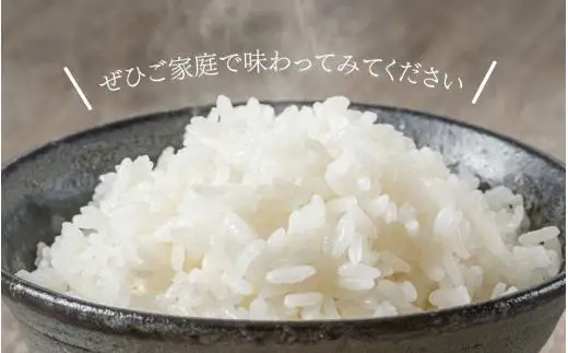 勝山の力米 ミルキークィーン 無洗米 2kg×2袋 ｜ 白米 米 お米 こめ コメ ライス ご飯 ごはん 贈り物 国産 仕送り お取り寄せ 産地直送 農家直送 数量限定 人気 おすすめ 【mwgk002-01】