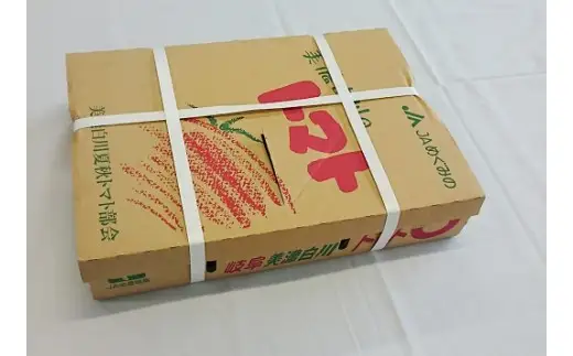 7月下旬発送！ 桃太郎トマト 4kg A等級 Lサイズ 桃太郎 トマト 美濃白川 夏秋トマト