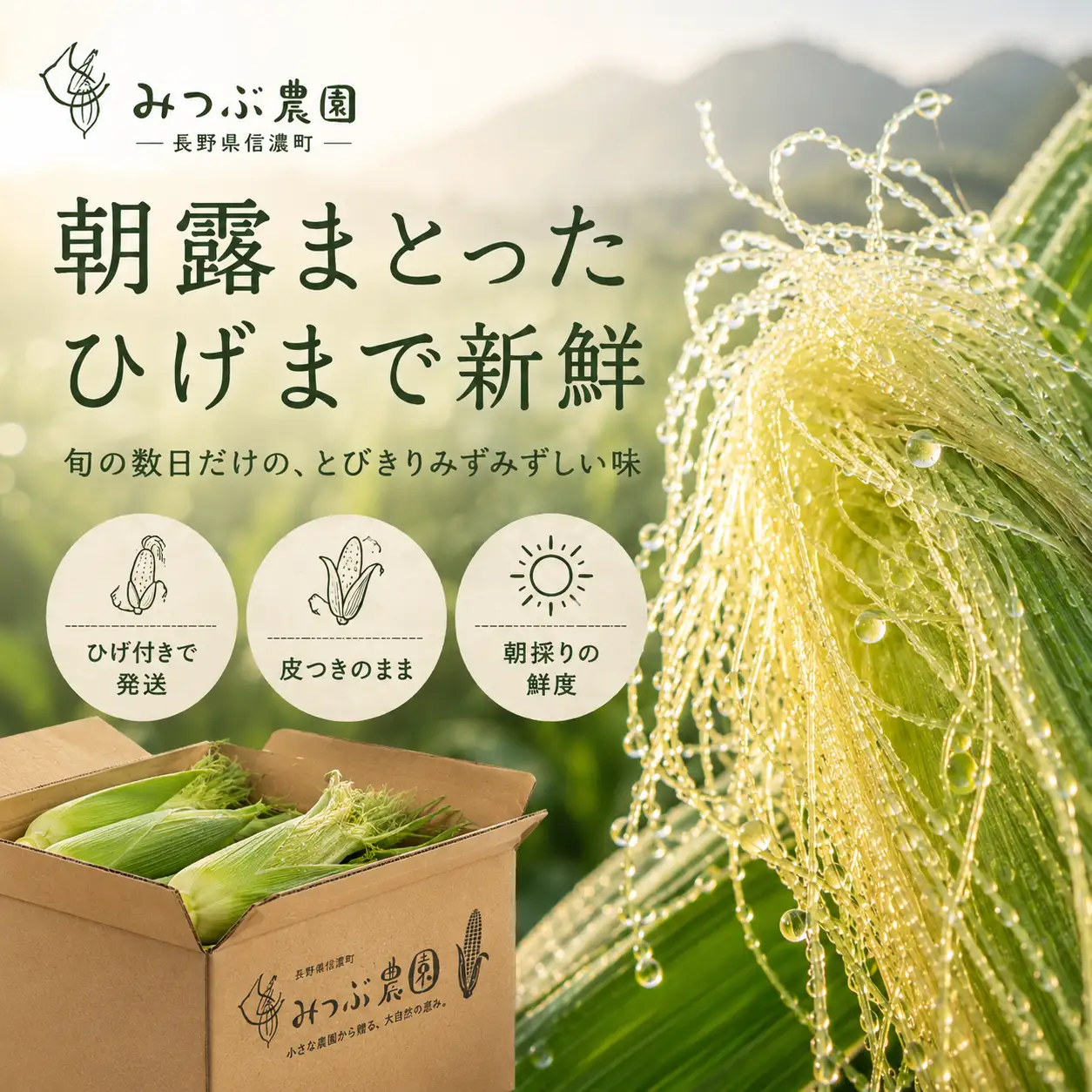 【期間限定】朝採れヤングコーン20本｜ひげまで甘い！自然循環農法で育んだ旬を直送