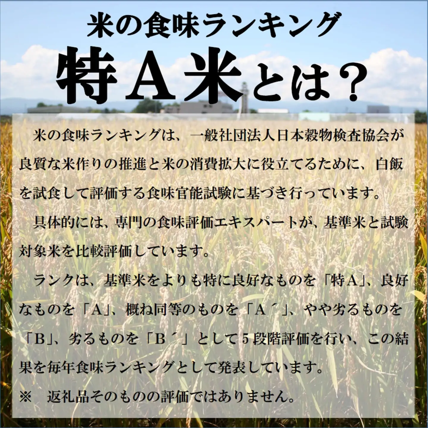 【新米予約受付中】令和8年産ゆめぴりか(10㎏)【R8SC1】