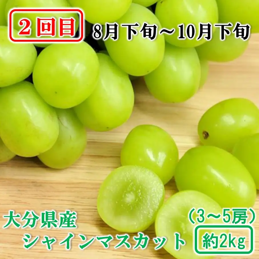 大分県産 旬のフルーツ定期便（全4回）果物 詰合せ 数量限定 ブルーベリー シャインマスカット みかん いちご_2717R
