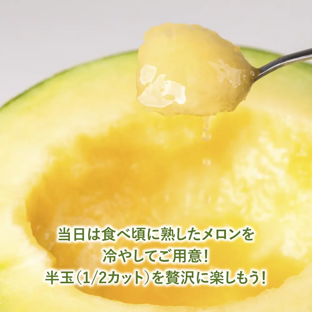 【先行予約】ニュー渥美観光　メロン狩り体験チケット メロン めろん 