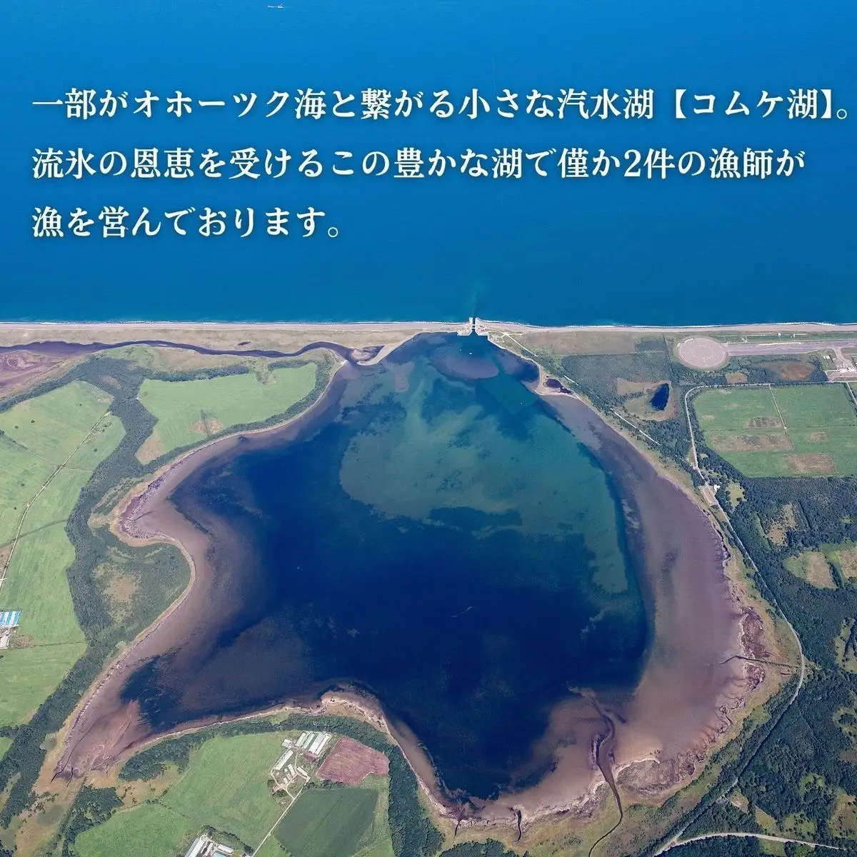 20-323 生 うに 紋別コムケ湖産 ミョウバン不使用 100g（100g×1個）