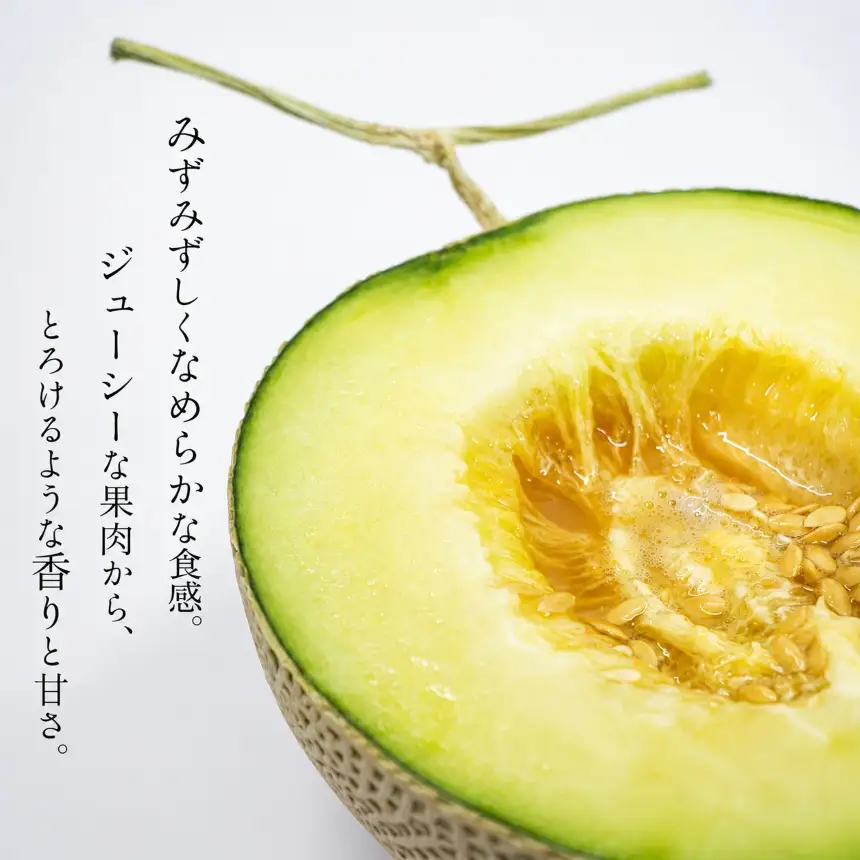 アールスメロン (1玉入り)