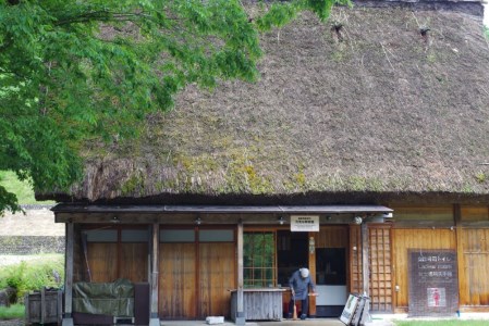 白川村の山から採れた乾燥わらび 80g[S187]