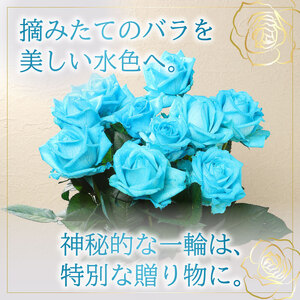 水色 バラ 花束 10本 薔薇 花束 花束 花束 花束 ブーケ 父の日 G07_01