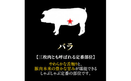 A-127 鹿児島黒豚しゃぶしゃぶ詰合せ（こだわりのスープの素・ラーメン付）【九面屋】霧島市 豚肉 ラーメン 詰め合わせ しゃぶしゃぶ 黒豚 しゃぶしゃぶ肉 しゃぶしゃぶ 豚 しゃぶしゃぶセット